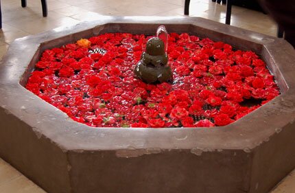 Moroccan Rose Petals